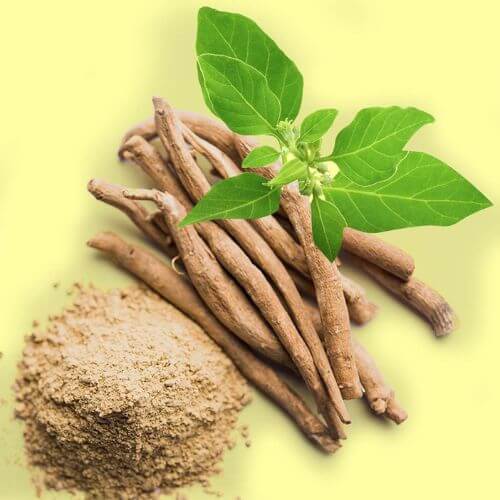 Ashwagandha 